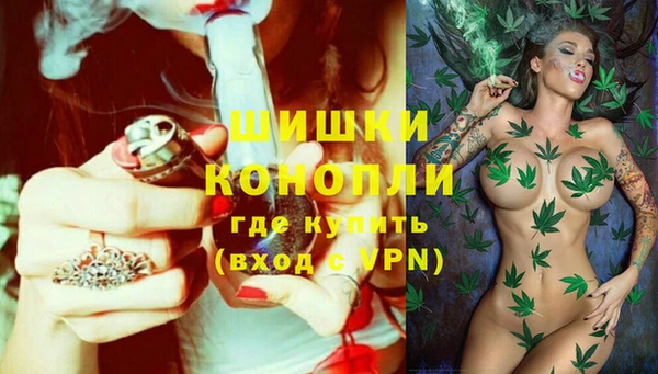 крисы Арсеньев