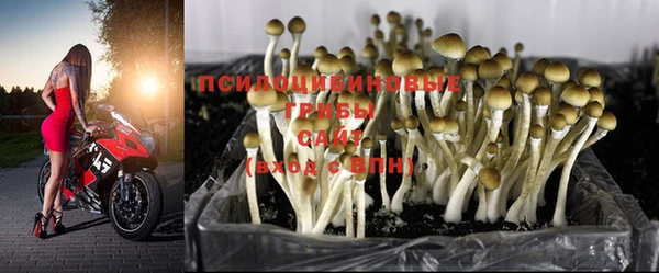 прущая мука Сафоново