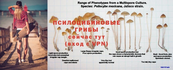 крисы Арсеньев